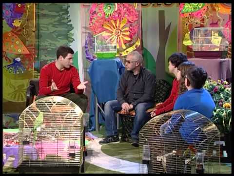 თუთიყუშები - Parrots - გადაცემა \'ეკოვიზია\' - 'Ecovision' TV Show